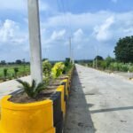 6155e8cb-a15b-4e98-b44c-4f9d855d1b62